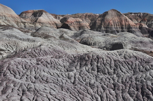 The Blue Mesa Trail